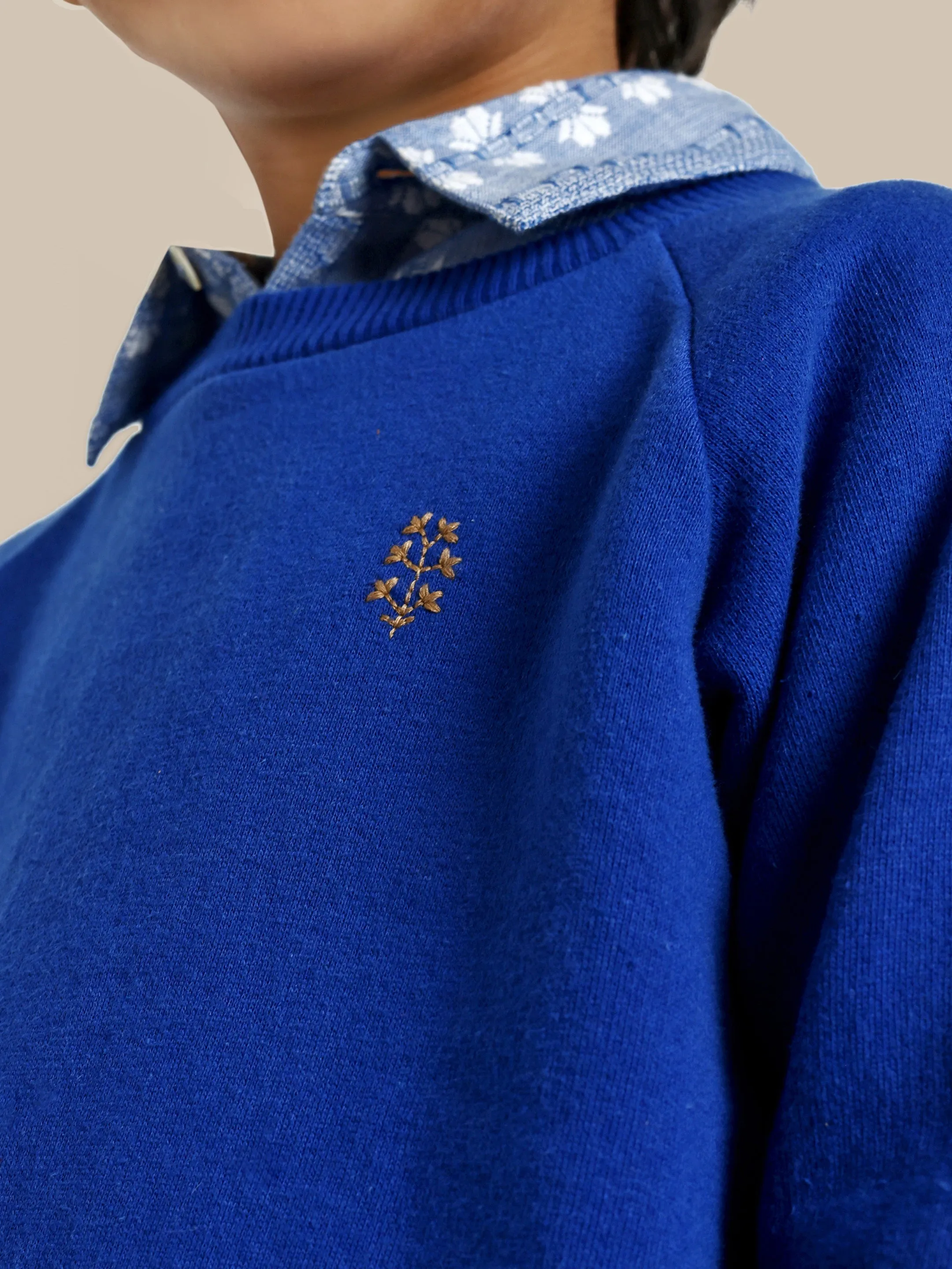 Alan Flower Embroidery Fleece Cotton Boys Sweatshirt - Blue