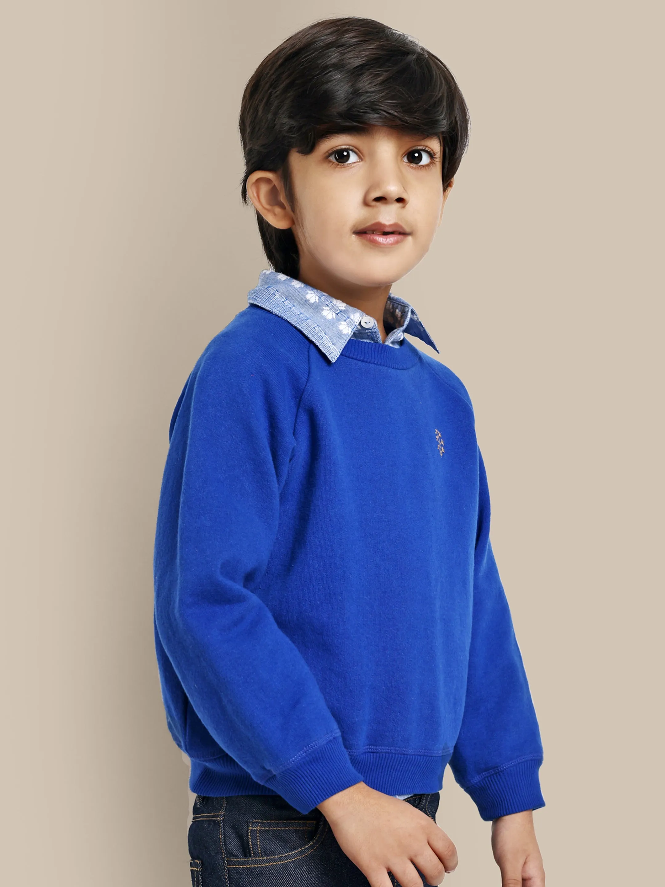 Alan Flower Embroidery Fleece Cotton Boys Sweatshirt - Blue