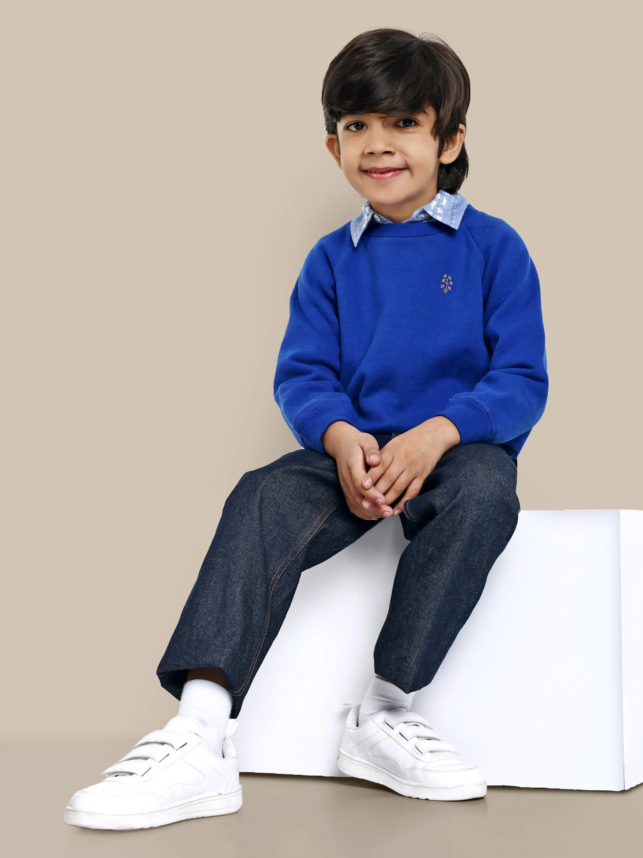 Alan Flower Embroidery Fleece Cotton Boys Sweatshirt - Blue