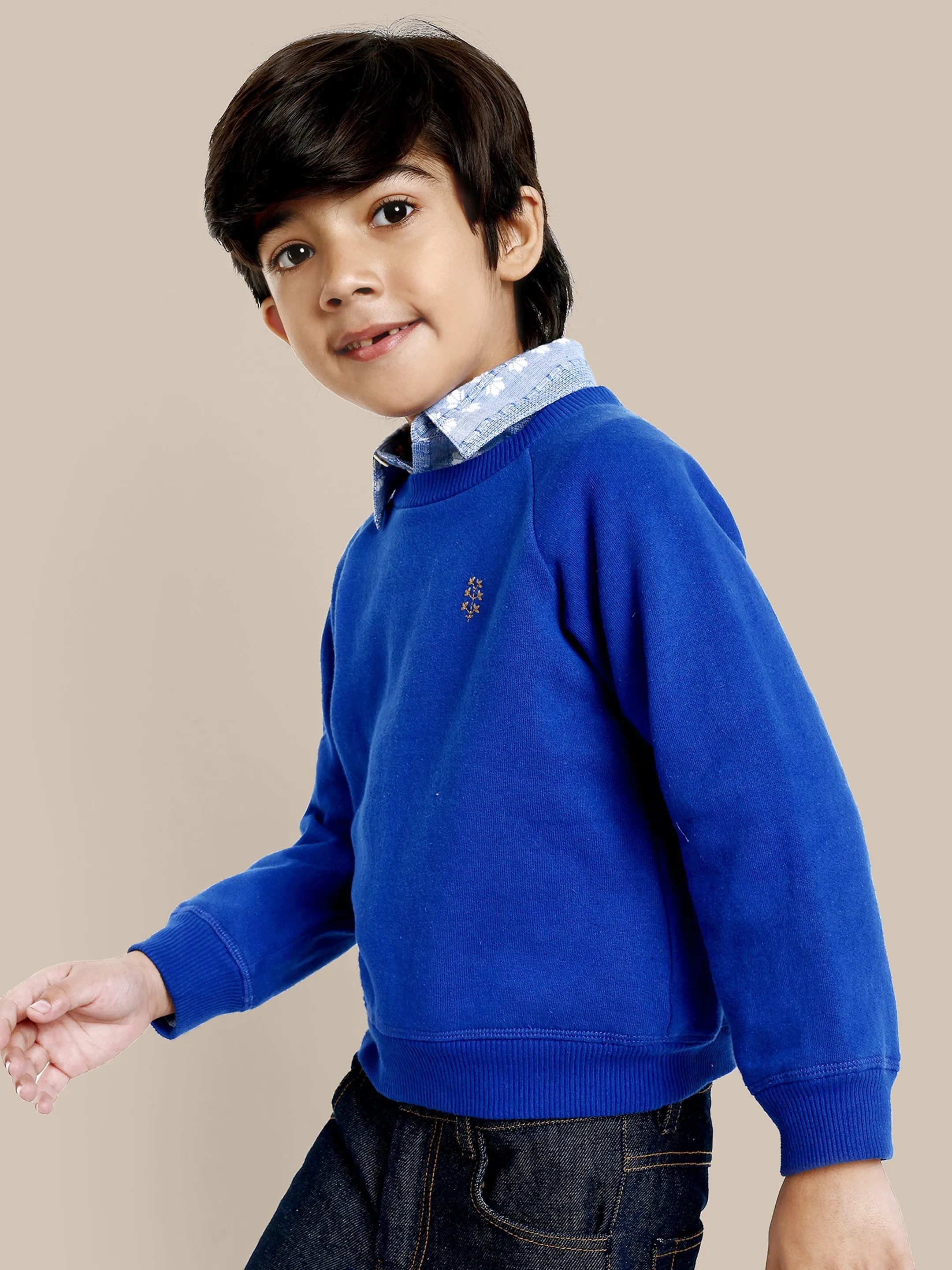 Alan Flower Embroidery Fleece Cotton Boys Sweatshirt - Blue