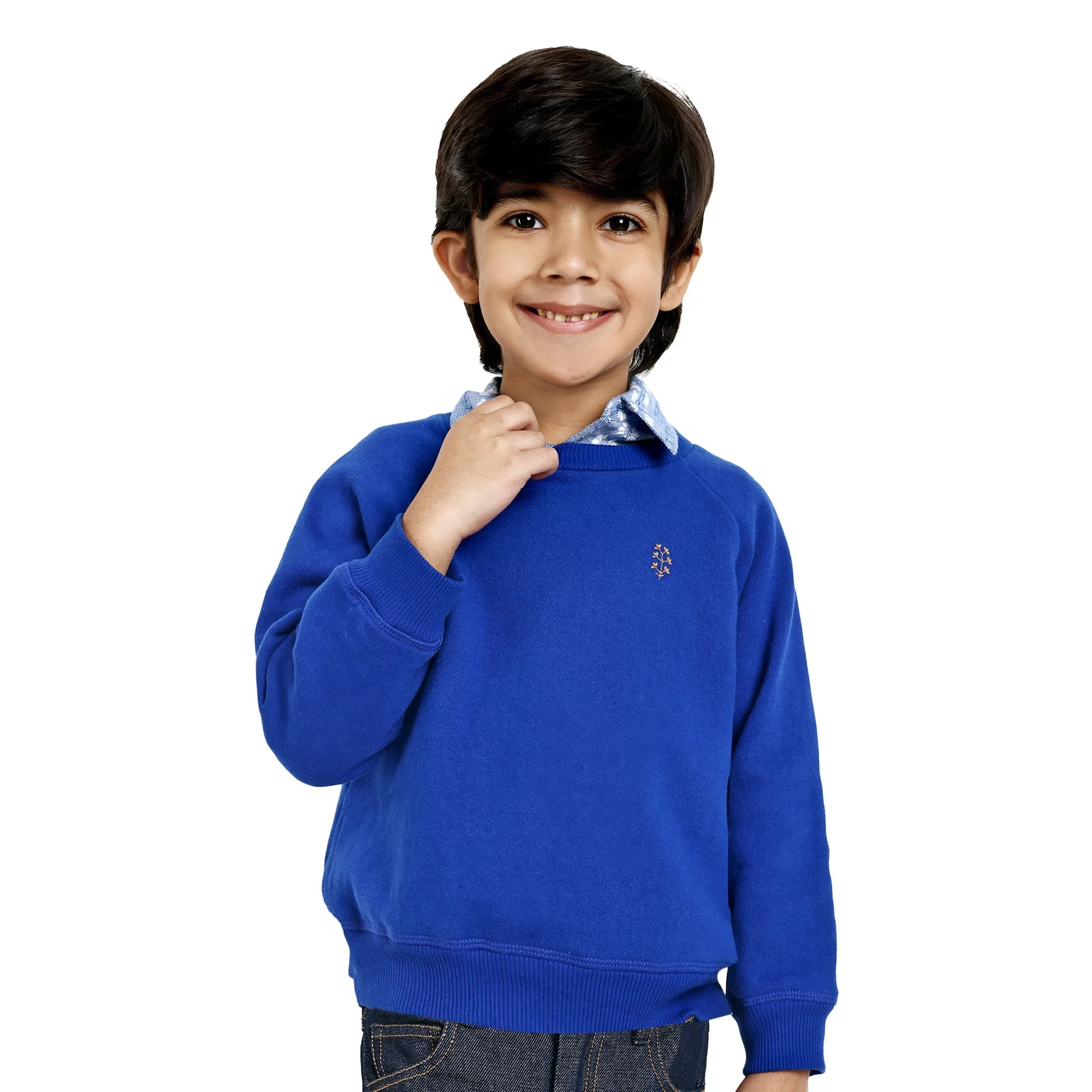 Alan Flower Embroidery Fleece Cotton Boys Sweatshirt - Blue