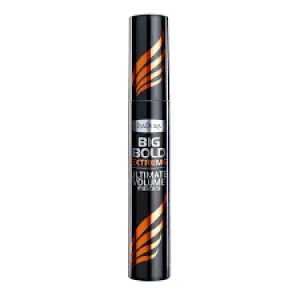 Big Bold EXTREME #15