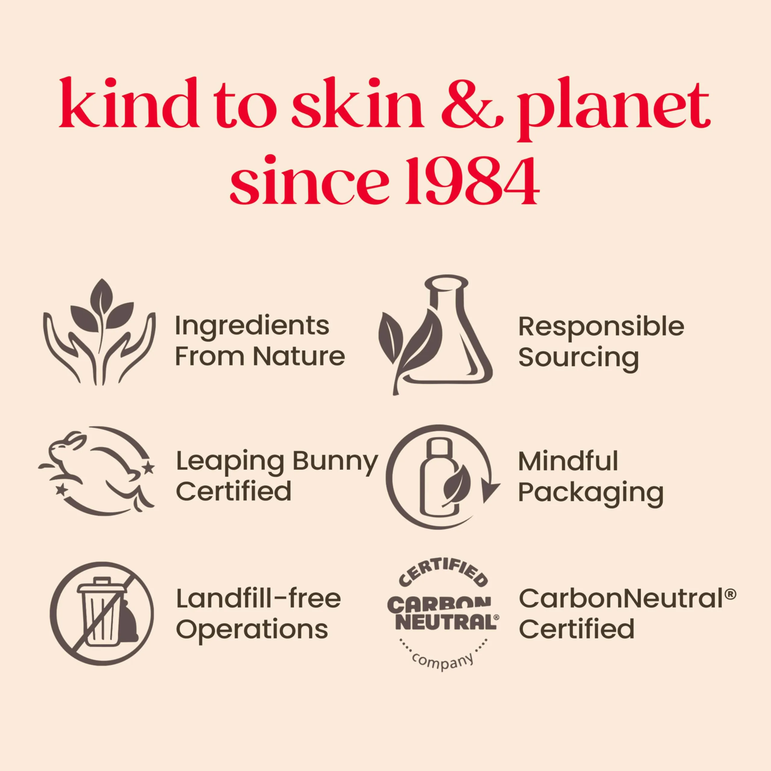Burt's Bees Gifts Ideas - Essential Everyday Beauty Set, 5 Travel Size Products - Deep Cleansing Cream, Hand Salve, Body Lotion, Foot Cream and Lip Balm