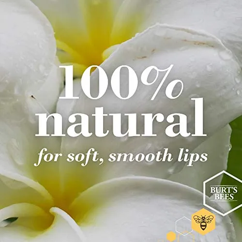 Burts Bees Vanilla Maple Lip Balm, 4.25 GR