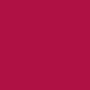 DELETER Neopiko-2 Dual-tipped Alcohol-based Marker - Crimson (514)