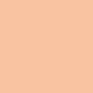 DELETER Neopiko-2 Dual-tipped Alcohol-based Marker - Fresh (522)