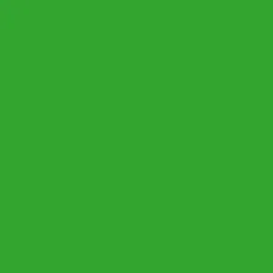 DELETER Neopiko-2 Dual-tipped Alcohol-based Marker - Fresh Green (421)