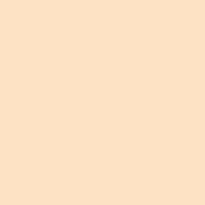 DELETER Neopiko-2 Dual-tipped Alcohol-based Marker - Light Brown (553)