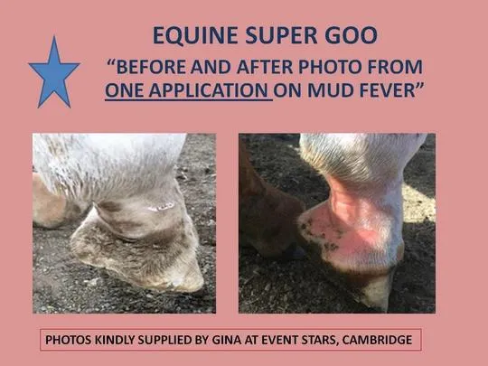 Equine Super Goo