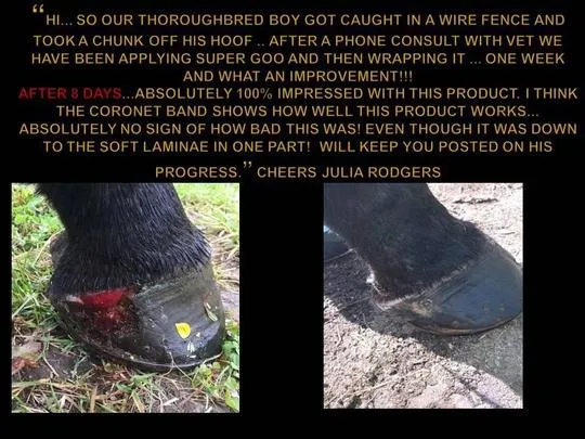 Equine Super Goo