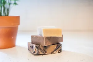 Evolve Botanica Soap | Teakwood