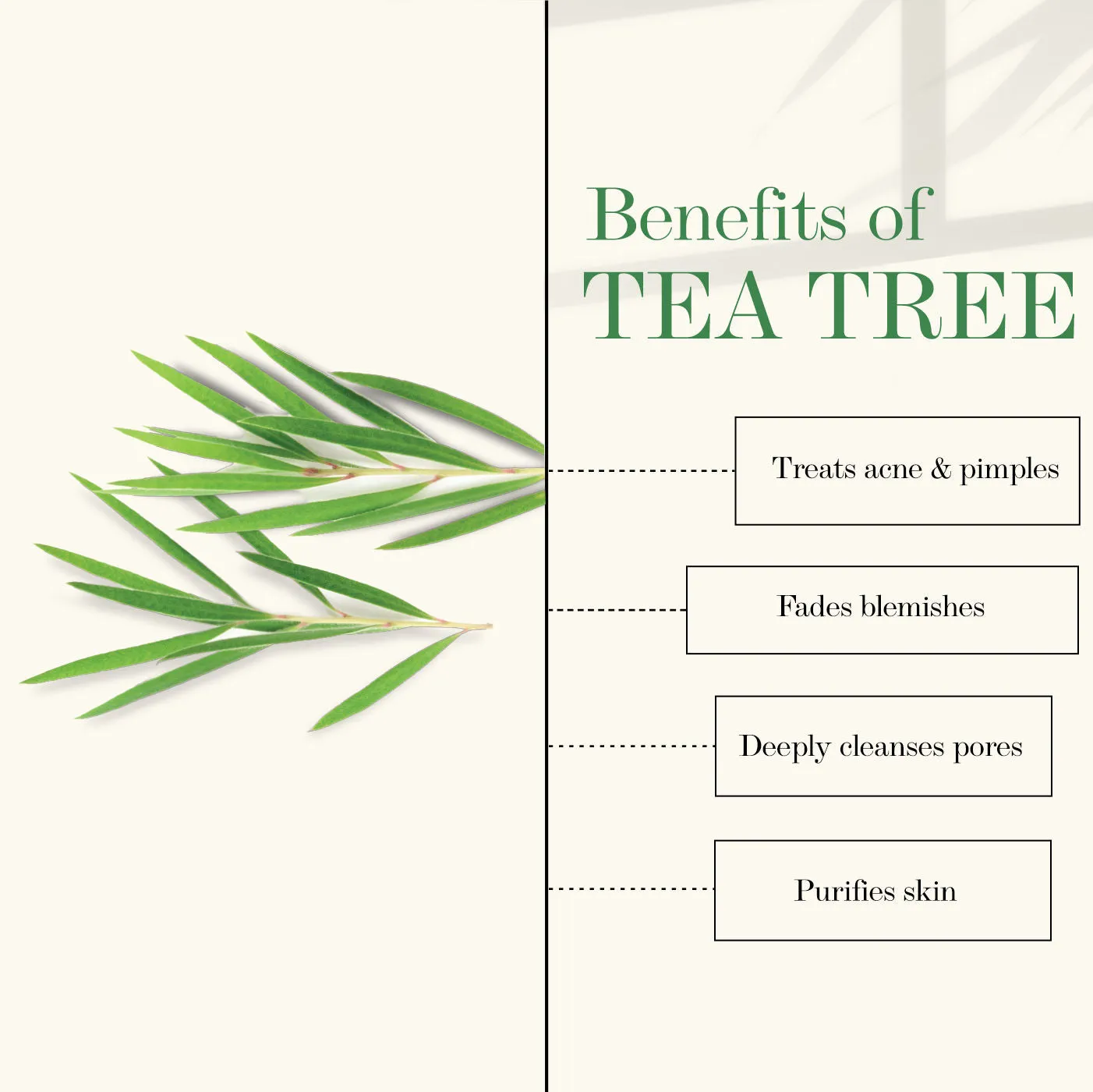 Good Vibes Tea Tree Cleansing Mask | Anti-Acne, Cleansing, Soothing | No Parabens, No Sulphates, No Mineral Oil, No Animal Testing (50 g)