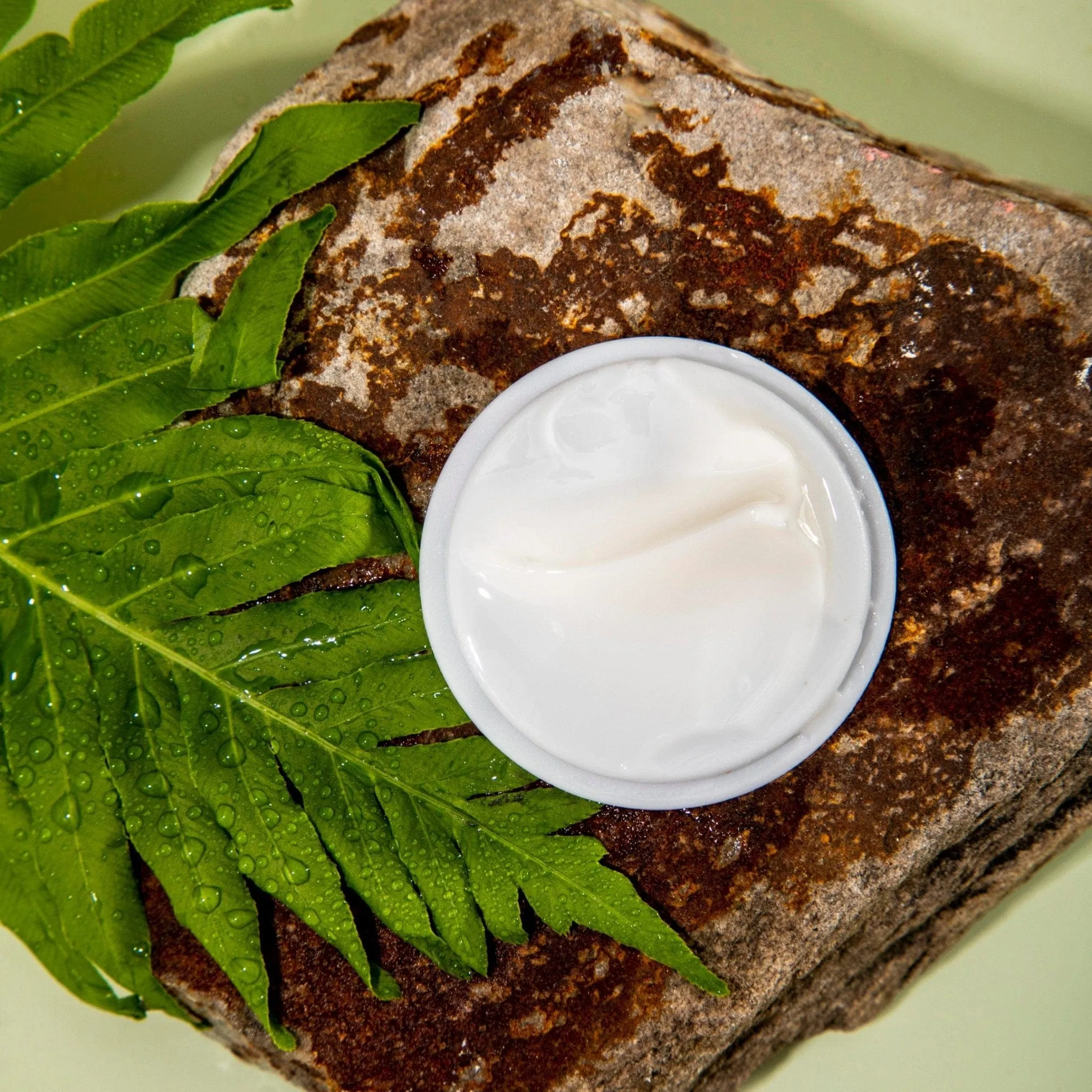 Khichi Beauty Caffeine Eye Cream