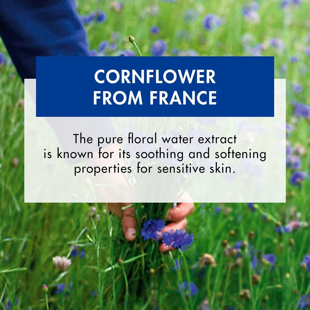 Klorane Waterproof Eye Make-Up Remover with Organically Farmed Cornflower