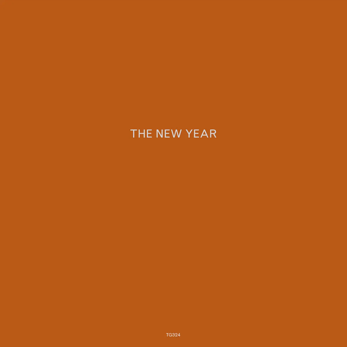 New Year - The New Year