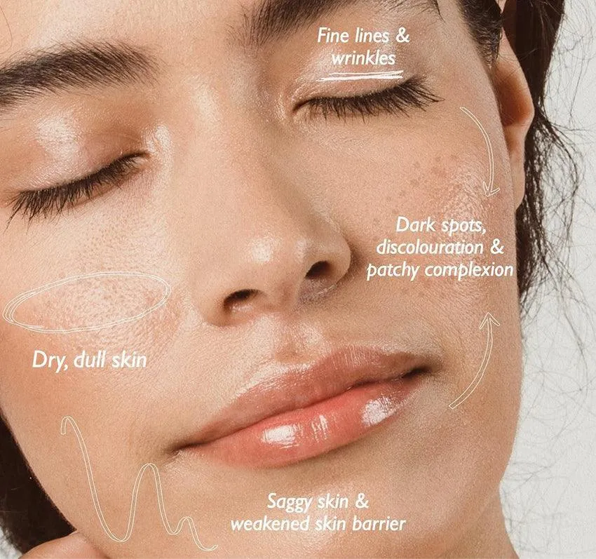 Night Repair Cream