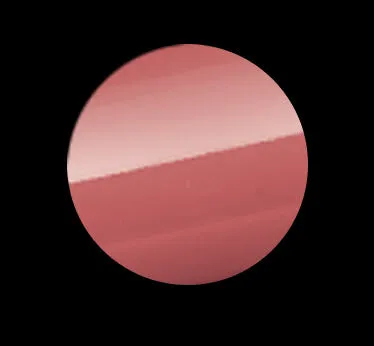 NIPPY 225 C LIPGLOSS