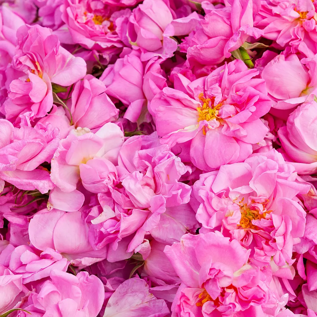 Organic Rose Water 200ml