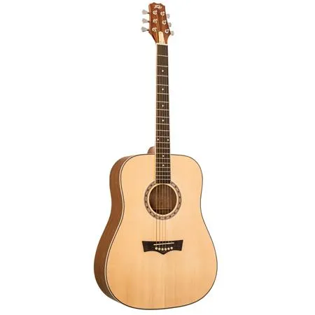 Peavey DELTA-WOODS DW-1 Dreadnaught Acoustic Guitar w/ Bag