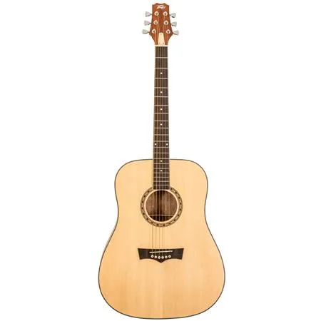 Peavey DELTA-WOODS DW-1 Dreadnaught Acoustic Guitar w/ Bag