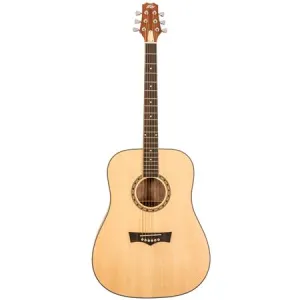 Peavey DELTA-WOODS DW-1 Dreadnaught Acoustic Guitar w/ Bag