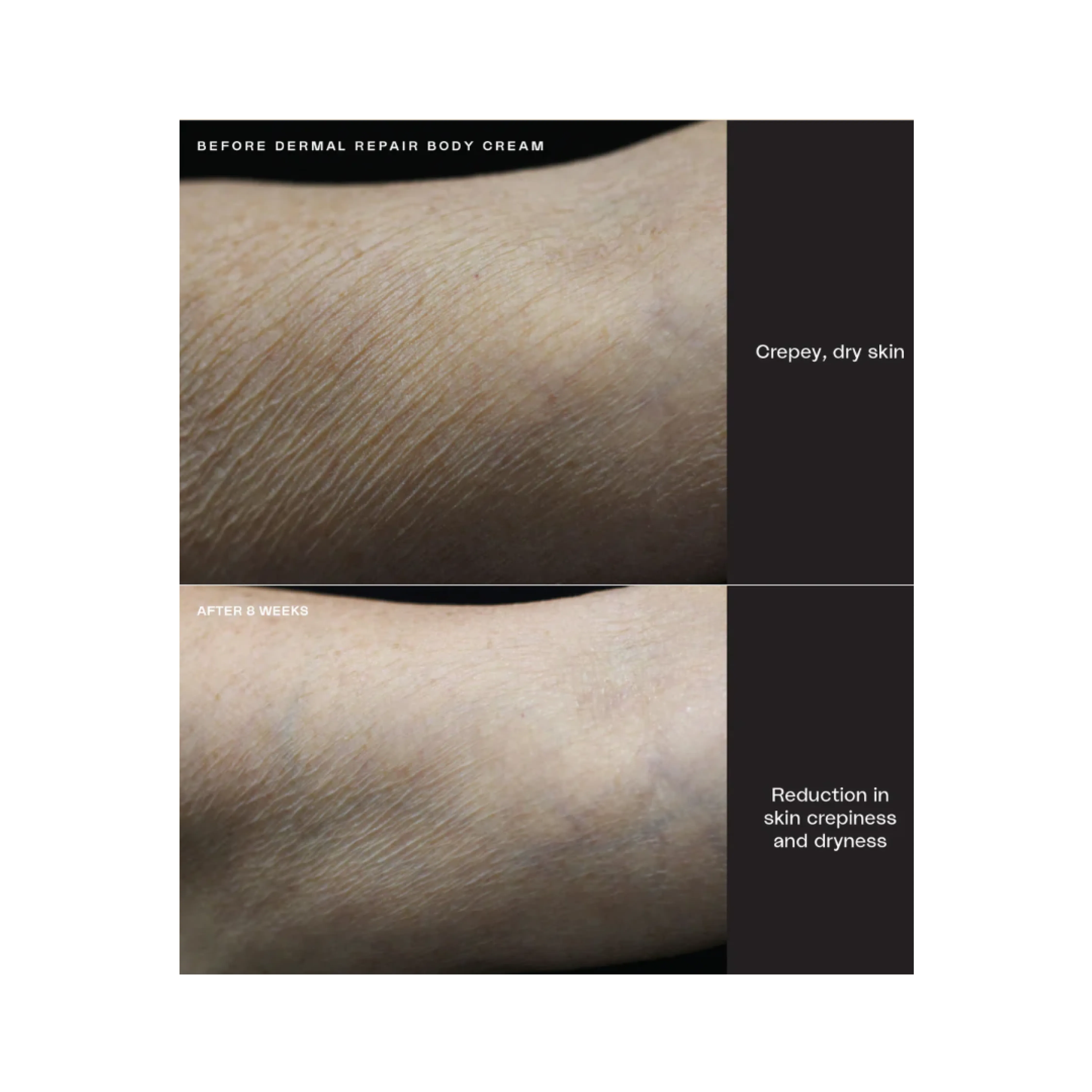 Sente Dermal Repair Duo*